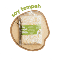 tempehking plant-based tempe plant power soybeans GIF