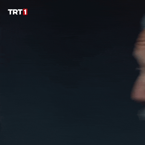 I Understand All Right GIF by TRT