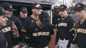 mkepanthers dancing baseball college panthers GIF