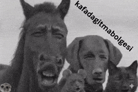 Huseyin Fare GIF