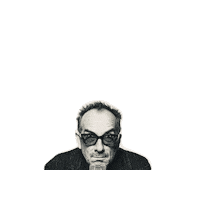 Spanish Model Take A Picture Sticker by Elvis Costello