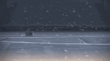 5 Centimeters Per Second Japan GIF by All The Anime — Anime Limited