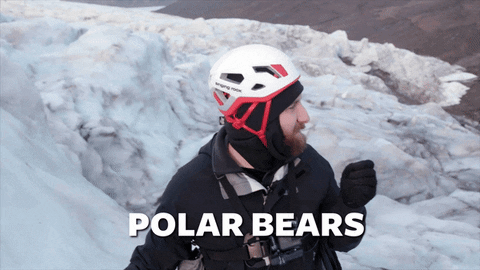 Polar Bear Winter GIF by The Young Turks