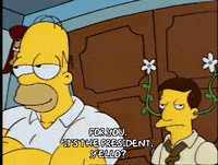 homer simpson episode 10 GIF