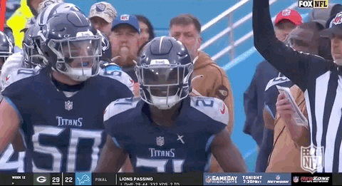 National Football League GIF by NFL