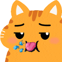 Chonk GIF by Leo Maine Coon