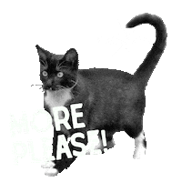 Pet Food Please Sticker by Stella and Chewy's