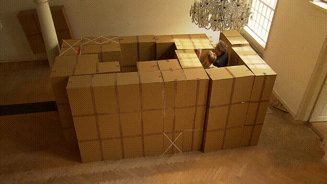 giphyupload GIF