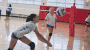 wpi sports football basketball fitness GIF