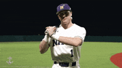 Batter Up Go Navy GIF by Navy Athletics