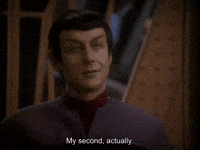 Star Trek GIF by Goldmaster