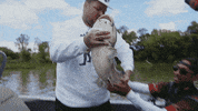 GIF by Dead Set on Life