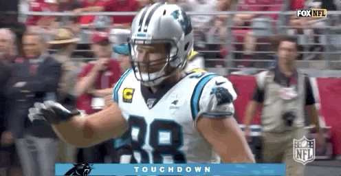 Carolina Panthers Football GIF by NFL