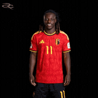 Fifa World Cup Uefa GIF by Respective