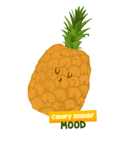CanaryIslandsTourism relax holidays nap pineapple Sticker