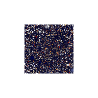 Winter Amsterdam Sticker by Kingsland Festival