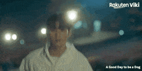 Cha Eun Woo Kdrama Couple GIF by Viki