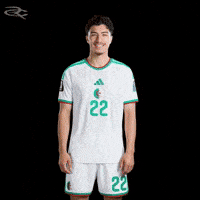 Fifa World Cup Algeria GIF by Respective
