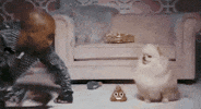 dog snl GIF by Saturday Night Live