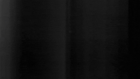 Football Sport GIF by SK Sturm Graz