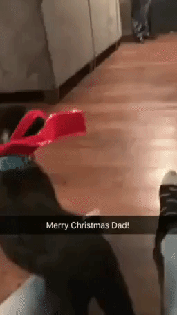 Ecstatic Dad Can't Believe Family Got Him a Puppy for Christmas