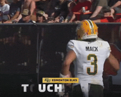 Celebration GIF