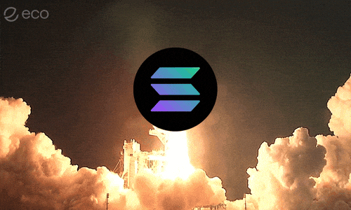 To The Moon Crypto GIF by Eco