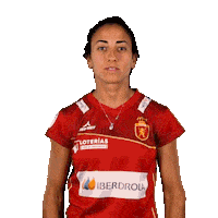RFEH iberdrola rfeh redsticks hockey españa Sticker