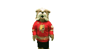 Surprised Mascots Sticker by Ferris State University