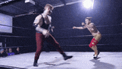 SHWAWrestling swag lit slap fam GIF