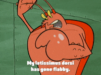 season 4 episode 10 GIF by SpongeBob SquarePants
