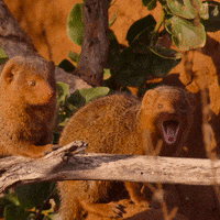 Happy Friends GIF by NETFLIX