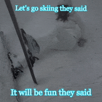 Winter Turkey GIF