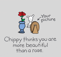 i love you rose GIF by Chippy the dog