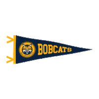 fun college Sticker by Quinnipiac University