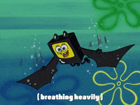 season 3 the lost episode GIF by SpongeBob SquarePants