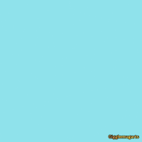 Sony Bhogi GIF