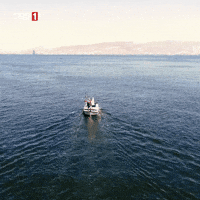 Forget Omega 3 GIF by TRT