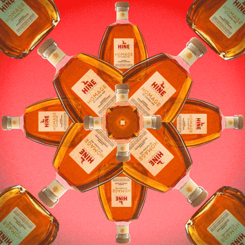 HineCognacs party cognac homage hine GIF