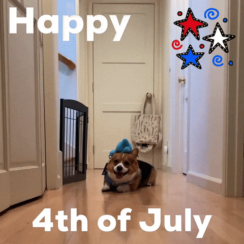 Happy 4Th Of July GIF