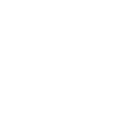 Halloween Skull Sticker