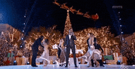 dwts GIF by Dancing with the Stars