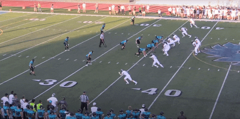 chrisrennecfb giphyupload GIF