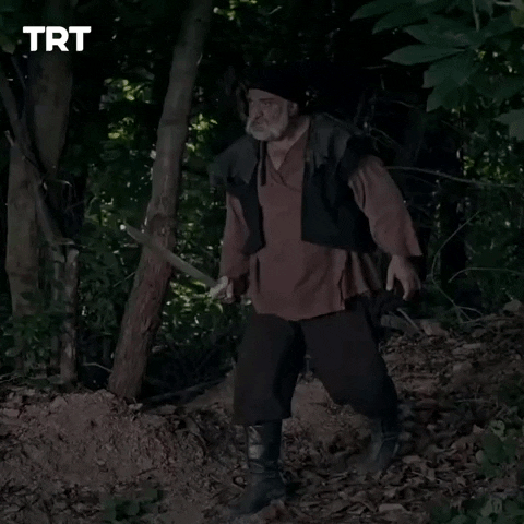 GIF by TRT