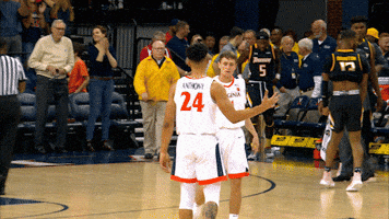 university of virginia uva GIF
