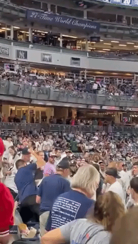 Fans Fight in the Stands of Yankee Stadium 