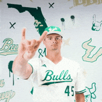South Florida Baseball GIF by USF Athletics