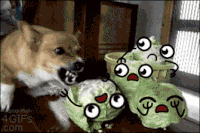 horror GIF