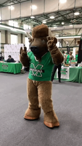 we are marshall marco GIF by Marshall University