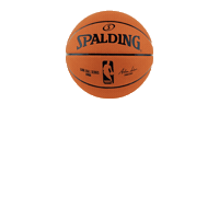 Spalding_Brasil  Sticker